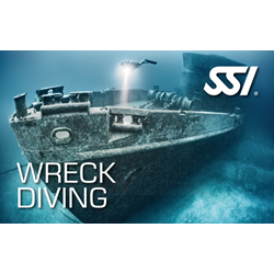 Ssi Wreck Diving Specialty